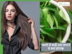 कढ़ी पत्ते का इस तरीके से करेंगे इस्तेमाल तो कभी नहीं होगी हेयर फॉल की समस्या, बस ऐसे करें इस्तेमाल