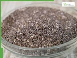 5 Healthy Breakfast Meal Ideas Featuring Chia Seeds For Good Gut Health