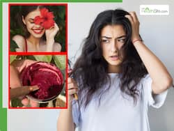 नारियल तेल से हेयर फॉल कैसे रोकें? इन लाल फूलों के साथ मिलाकर लगाएं Coconut ऑयल, बालों का झड़ना होगा बंद