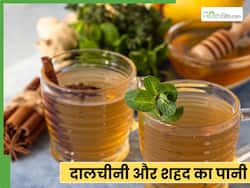 रोज सुबह शहद और दालचीनी का पानी पीने से मिलेंगे ये 5 फायदे, दूर होगी समस्याएं