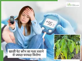 रात को सोने से पहले कच्चा चबा लें ये एक पत्ता तो दिनभर कंट्रोल रहेगा ब्लड शुगर, डायबिटीज के मरीज जरूर करें ट्राई