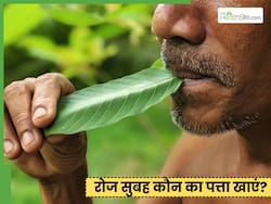 रोज सुबह ये 3 पत्ते खाने से शरीर में आ जाएगी जान, मिलेंगे ये 3 फायदे