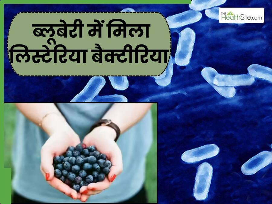 ब्लूबेरी से फैल रहा लिस्टेरिया संक्रमण, क्यों है इतना खतरनाक और किन-किन फलों में होता है मौजूद