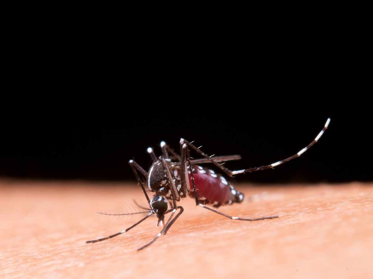 monsoon illness, monsoon season infection, Humidity During Monsoon, stay healthy in monsoon season, mosquito borne diseases monsoon, respiratory illness monsoon, gastroenteritis issues in monsoon season