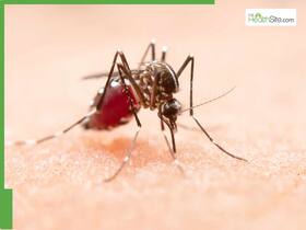 5 Monsoon Illnesses From Which You Must Protect Yourself