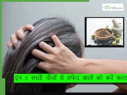 केवल 2 आंवलों के पेस्ट से ही सफेद बाल हो जाएंगे काले, इस तरह घर पर बनाएं नेचुरल हेयर डाय