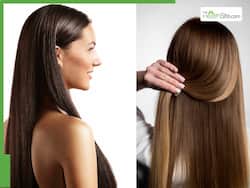 Know About The Power of Plants When It Comes To Nourishing Hair From Root To Tip