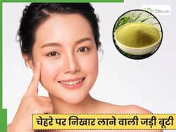 चेहरे पर लगाएं 1 खास जड़ीबूटी, निखार देख नहीं होगा यकीन