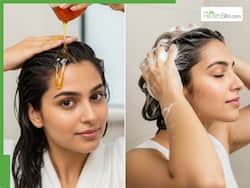 शैंपू करने से सिर्फ 5 मिनट पहले बालों में लगा लें ये एक चीज, धोने के बाद पूरी तरह से बदल जाएगा बालों का रंग रूप
