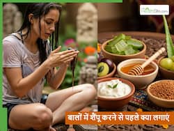 बालों में शैंपू करने से पहले क्या लगाना चाहिए? ये 5 चीजें लगाने के बाद शैंपू करेंगे तो सिल्की हो जाएगा एक-एक बाल