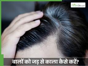सफेद बालों को जड़ से काला कैसे करें? ये 4 जबरदस्त उपाय दिखाएं कमाल का असर