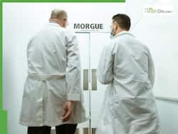 Flesh-Eating Bacteria Kills 2 People After They Ate Louisiana Oysters: What Is It And How Is It Diagnosed?