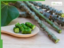 5 Giloy Juice Medicinal Benefits You Should Know