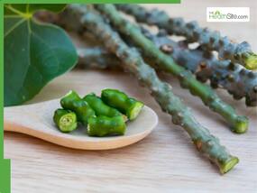 5 Giloy Juice Medicinal Benefits You Should Know