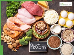 5 Protein-Rich Foods to Add to Your Diet