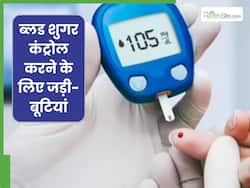 इन 5 देसी चीजों से कंट्रोल में आ सकता है ब्लड शुगर लेवल, जानें किस तरह से करना है सेवन