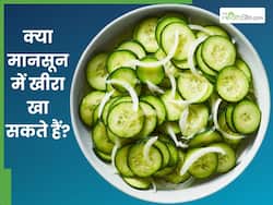 मानसून में खीरा खा सकते हैं या नहीं? एक्सपर्ट से जानें फायदे-नुकसान