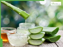 Aloe Vera for Skin Benefits: What Is The Right Way To Use Aloe Vera Gel