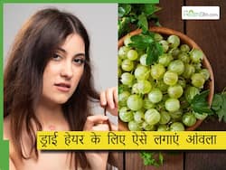 रूखे-सूखे और बेजान बालों में शाइन के लिए लगाएं आंवले का पानी, शैम्पू करने के बाद ऐसे करें इस्तेमाल