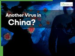 Another Virus in China? Chikungunya Outbreak Triggers COVID-Era Measures With Drones and Fumigation - Is India at Risk?