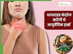 थायराइड कंट्रोल करने के लिए इन 5 जड़ी-बूटियों का करें सेवन, जल्द दिखने लगेगा असर