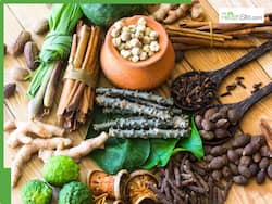 Shatavari To Tulsi: 7 Powerful Ayurvedic Herbs And Their Health Benefits