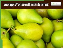 मानसून में रोज 1 नाशपाती खाने से सेहत को मिलते हैं ये 5 जबरदस्त फायदे, जानिए एक्सपर्ट से