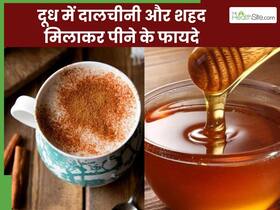 दूध में दालचीनी और शहद मिलाकर पीने से दूर होंगी ये 5 समस्याएं, जानें पीने का सही तरीका दूध में दालचीनी और शहद मिलाकर पीने से दूर होंगी ये 5 समस्याएं, जानें पीने का सही तरीका
