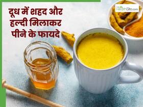 दूध में शहद और हल्दी मिलाकर पीने से दूर होंगी ये 5 समस्याएं, जानें पीने का सही तरीका दूध में शहद और हल्दी मिलाकर पीने से दूर होंगी ये 5 समस्याएं, जानें पीने का सही तरीका