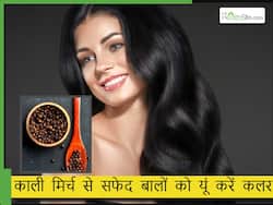 सफेद बालों को काला कैसे करें? किचन में पड़े इस मसाले से बनाएं हेयर डाय, सफेद बाल रहेंगे महीनों तक काले