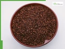 Clove Benefits For Heart: 5 Ways Eating Just 1 Clove Daily May Help Control LDL Cholesterol