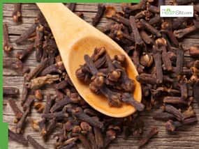 Benefits of Chewing Cloves: What Happens If You Start Chewing 1 Clove Daily On Empty Stomach?