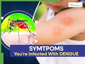 7 Clear Warning Symptoms You Are Infected With Dengue Virus (DENV)