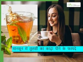 मानसून में क्यों पीना चाहिए तुलसी का काढ़ा? ये 5 बीमारियां रहेंगी हमेशा दूर
