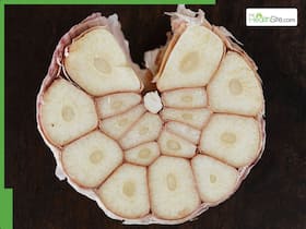 7 Powerful Health Benefits Of Chewing Raw Garlic Every Morning On An Empty Stomach
