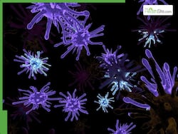 Food Poisoning Spikes During Monsoon Season: 6 Natural Remedies You Can Try At Home