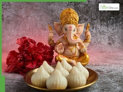Ganesh Chaturthi 2025: 5 Healthy Diabetic Modak Recipes That Won't Spike Your Blood Sugar Levels