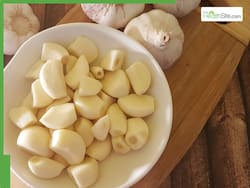 Garlic On Empty Stomach: What Happens When You Eat 3 Garlic Cloves Daily