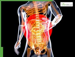 Why Is A Healthy Gut Essential? 7 Proven Ways To Improve Gut Health During Monsoon Season