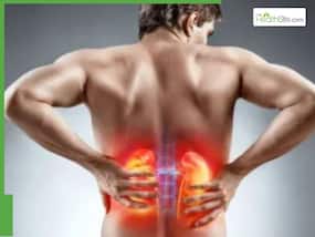 Kidney Damage Symptoms: 5 Clear Indicators Your Renal Health Is In Danger Kidney Damage Symptoms: 5 Clear Indicators Your Renal Health Is In Danger