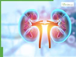 Chronic Kidney Disease Warning Signs: KIM-1 Biomarker May Predict Kidney Failure and Death Risk, Says Study