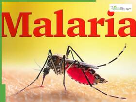 Malaria Cases in Delhi Hit a 5-Year High As Dengue and Chikungunya Spread Surge, Know Preventive Tips