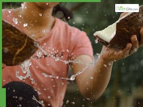 Is Coconut Water Safe To Drink? 6 Types Of People Who Must Avoid Drinking Nariyal Pani