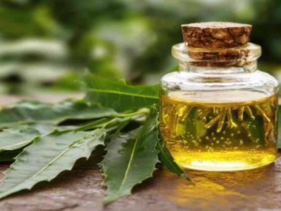 मुल्तानी मिट्टी से चेहरे की झुर्रियां कैसे हटाएं? जानें 5 तरीके, जिससे बुढ़ापा होगा कम