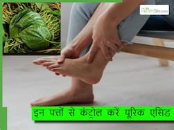 बढ़े हुए यूरिक एसिड को कंट्रोल करने के लिए चबाएं ये 1 पत्ता, पहले ही दिन से दिखेगा असर
