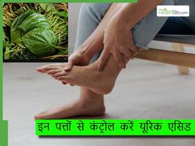बढ़े हुए यूरिक एसिड को कंट्रोल करने के लिए चबाएं ये 1 पत्ता, पहले ही दिन से दिखेगा असर