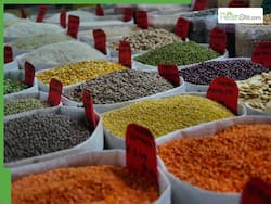 7 Powerful Protein Sources For Those Who Don   t Eat Meat Or Fish