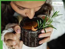 Top 5 Benefits Of Drinking Rosemary Tea During Monsoon Season