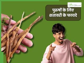  पुरुषों की इन 5 बीमारियों को दूर कर सकता है शतावरी, एक्सपर्ट से जानिए खाने का सही तरीका