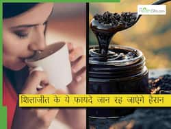 शिलाजीत का सेवन कैसे करना चाहिए? आयुर्वेद एक्सपर्ट से जानिए सही तरीका और शिलाजीत के फायदे